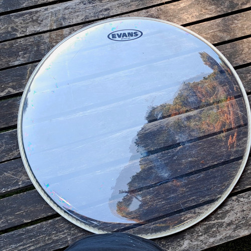 Evans clear genera - evans,