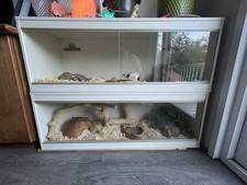 Vivarium 4ft 5ft 1 - vivarium, x
