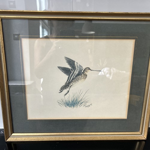 Vintage framed print fish - print,