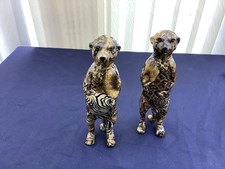 Safari Collection - Collage