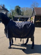 Mark Todd 6ft summer sheet