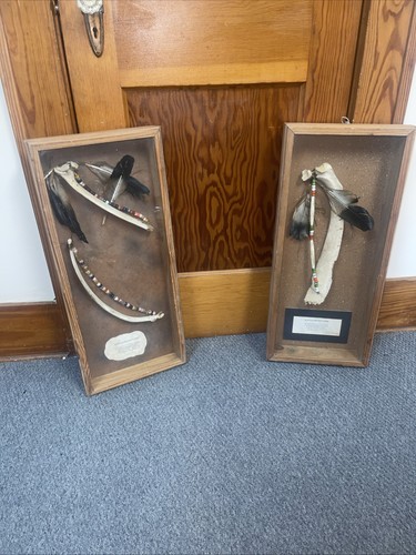 Native american style - native, buffalo