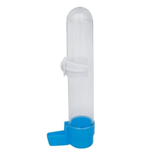 Bird pet cage canary - pet,