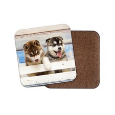 Siberian Husky Puppies Coaster