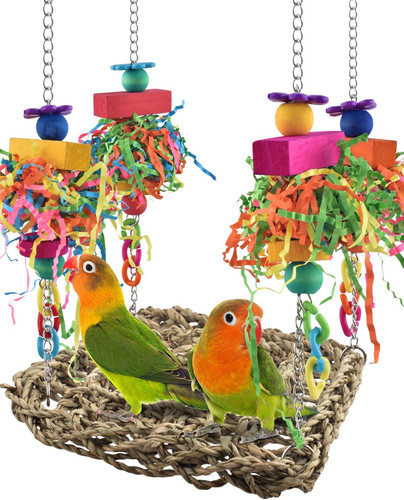 Conure toys bird - bird, swing