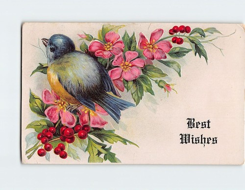 Postcard best wishes with - with, bird