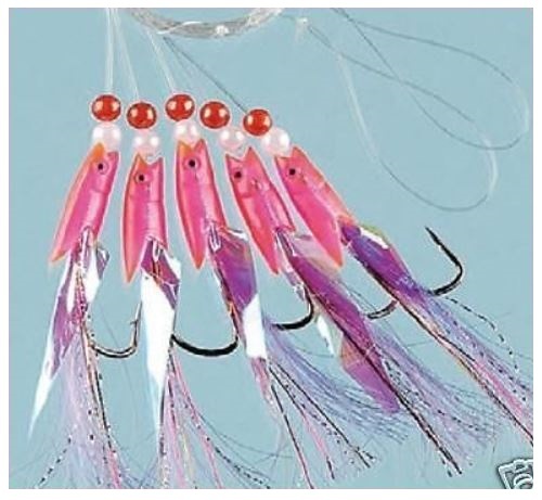 Hokki pink feather tail sea - feather,