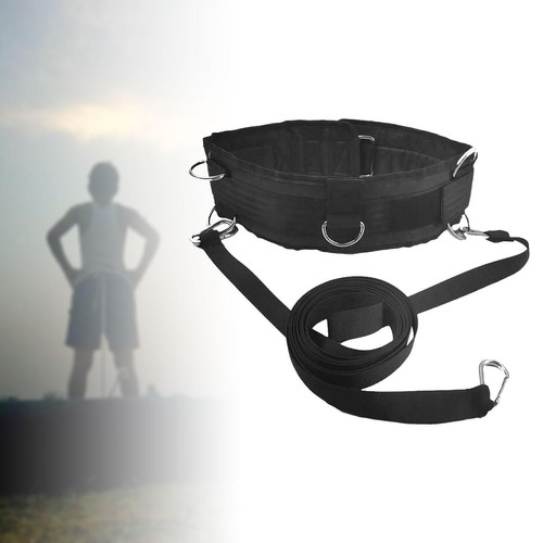 Waist belt for - belt, sled