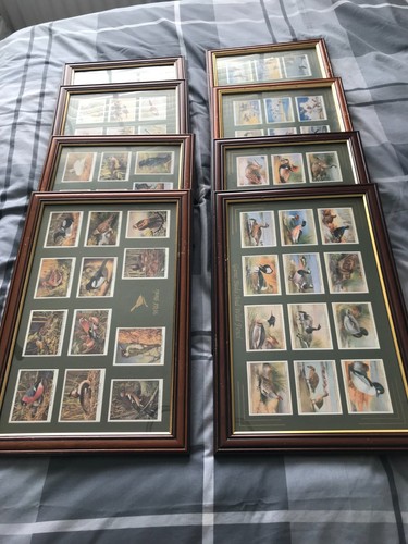 Framed cigarette cards - cigarette, of