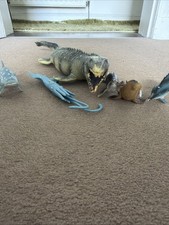 Sea Monster One Mosasaurus