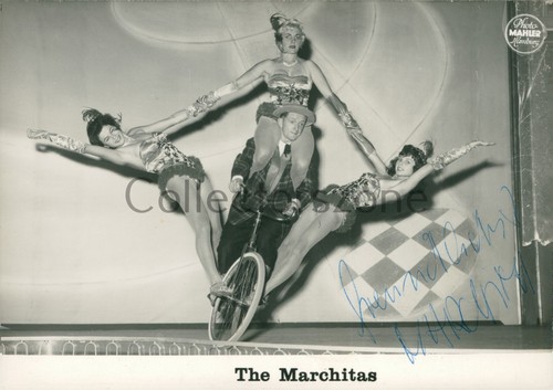 1950 circus bicycle - 1950's, the