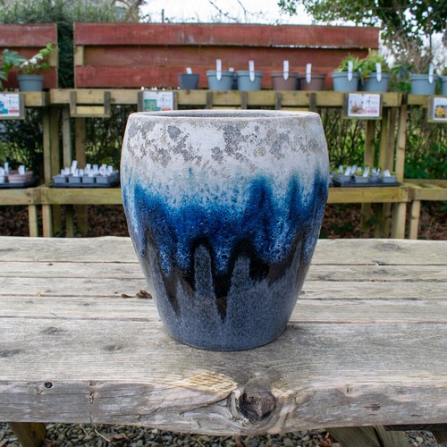 Plant pot ceramic - plant,