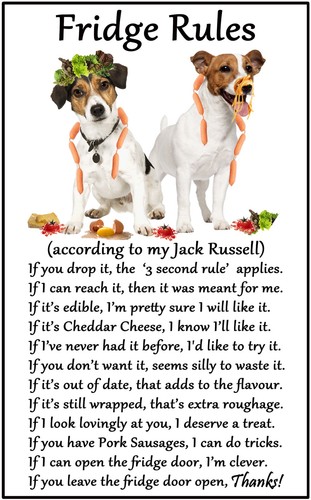 Jack russell dog gift fridge - dog,