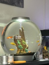 BIORB CLASSIC 60L SILVER WITH