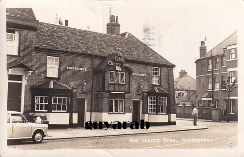 The olde cherry - the,