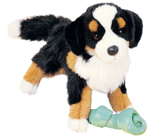 Douglas dogs trevor - trevor, bernese