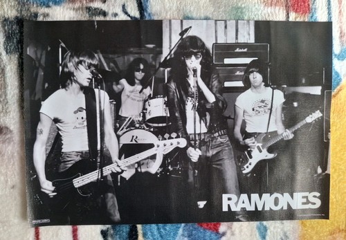 Ramones unframed wall - ramones,