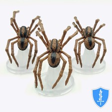 Giant Wolf Spider x3 - Fangs