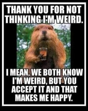 Funny  Ground hog