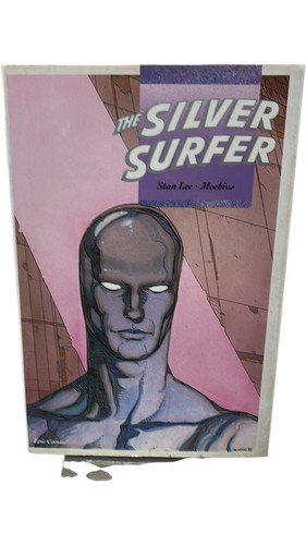 The silver surfer lee - surfer,