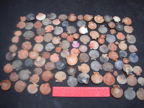 Job lot 100 small - lot, of