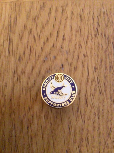 Cardiff city supporters - cardiff,