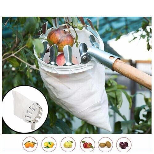 Apple fruit picker lightweight - apple,