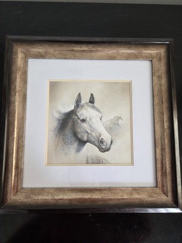 Framed racing thoroghbred - framed, grey