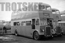 35mm Negative Paton Leyland PD2 Mann Egerton 99 NWE562 c1966
