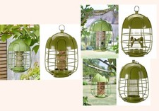 Acorn Squirrel Proof Bird