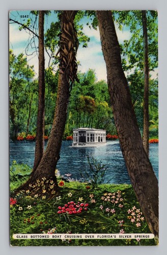 Postcard glass bottomed boat - postcard,