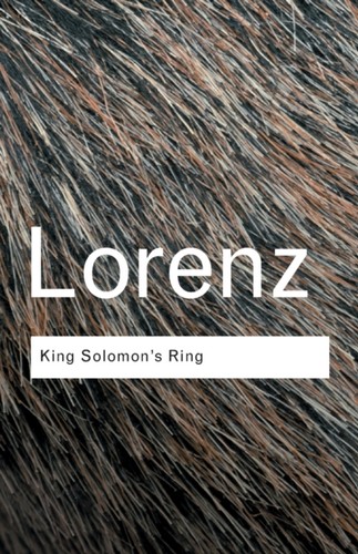 King solomon ring konrad - king,