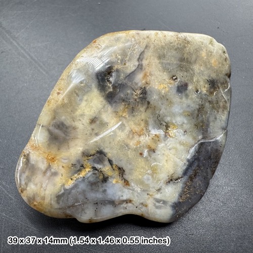 Dinosaur coprolite fossil - , poo