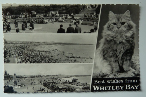 Whitley bay vintage - whitley, postcard
