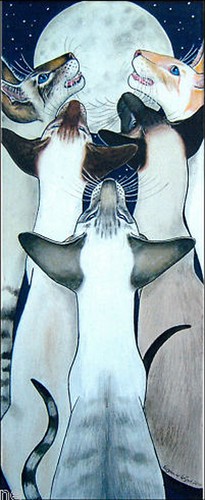 Siamese cat art - art, large