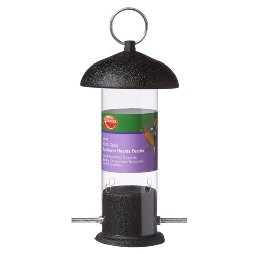 Hanging garden bird - hanging,