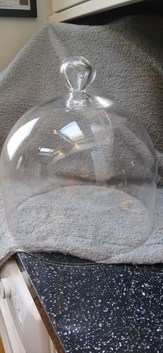 Extra large glass dome - extra,
