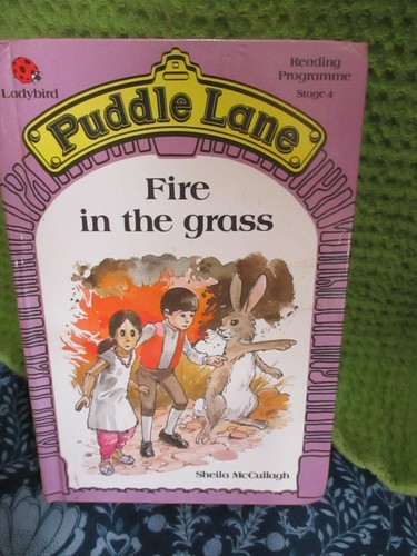 Puddle lane fire the - puddle,