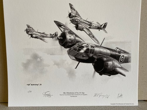 141 squadron aviation art - no.141,