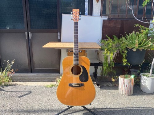 Yamaki acoustic guitar - yw-20,