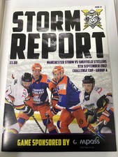 Ice hockey storm report - hockey-,