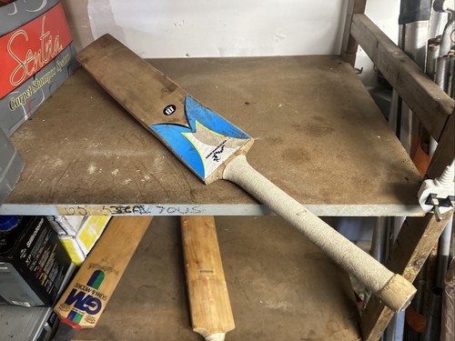 Woodworm ib235 cricket - ib235, bat
