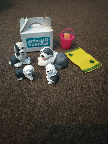 Rspca animal hospital puppy - animal,