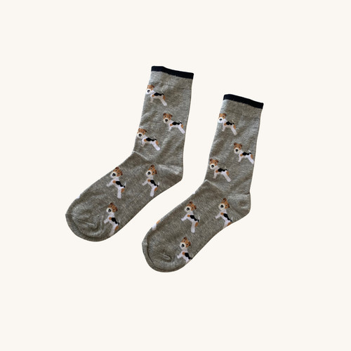 Wire fox terrier - terrier, socks