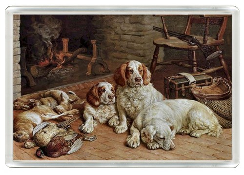 Clumber spaniel dog - clumber, fridge