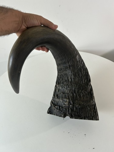 Large antique water buffalo - large,