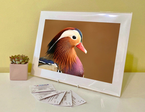 Art print image picture photo - print,