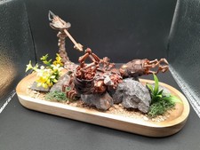 Hasbro Transformers Movie Scorponok Action Figures With Custom Wooden Base