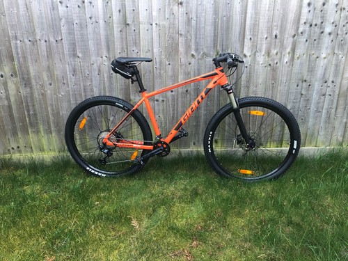 2020 giant terrago - giant, 29