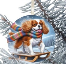 Cavalier king charles - king, spaniel